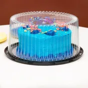 10" Plastic Display Cake Container for 2-3 layers - #WG40
