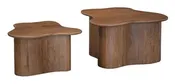 Abeford Accent Coffee Table (Set of 2)