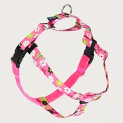 2 HOUNDS DESIGN Freedom No-Pull Dog Harness – Daisy Dot