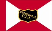 27th South Carolina Flag