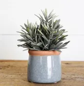 Cement Pot With Succulent