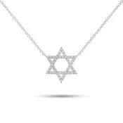 0.37 ct Diamond Star of David Pendant Necklace