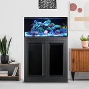 60 Gallon NUVO SR60 Shallow Reef AIO Aquarium - Innovative Marine