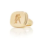 Aquarius Zodiac Ring