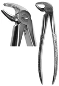 #13S Forceps  (Z-1027)