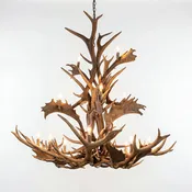 18 Light Fallow Antler Chandelier