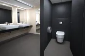 Biodegradable Bathroom Cleaner
