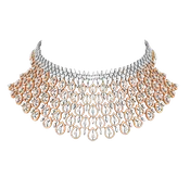 Beautiful Necklace