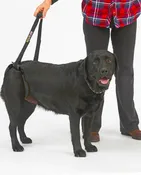 Dog Lift Harness – EZ Lift
