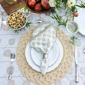 Anika Beige Napkin | Set of 4