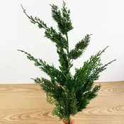 34" Pine Spray