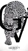Asiatic Cheetah Graphic|T-Shirt