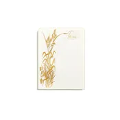 Adair Menus  |  Set of 10
