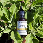 Adapt! Tincture Blend -  1 oz