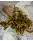 14" GREEN HOPS BUSH W/ FALL LEAVES