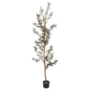 6' UV Protected Thin Olive Tree