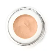Amy Cream Foundation