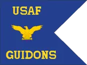 US Air Force Regulation Guidon Builder