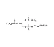1,2-Dilauroyl-sn-glycero-3-phosphocholine