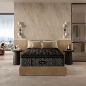 Beautyrest Black® Series Three 16.75" Plush Pillow Top Mattress