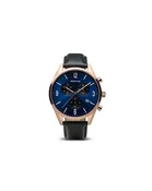 Bering Classic Watch