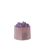 Acai Match Holder with Matches