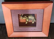 11" x 11" Elephant in Framed Shadow Box