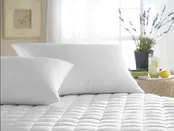 Astra Pillow DR