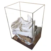 Clear Garbage Can - Service Central Inc