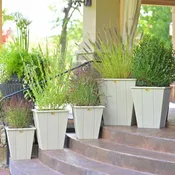 18in Elite Planter