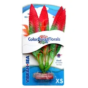 CB-165-RD – Vibran-Sea® Color Burst Florals® Crispus