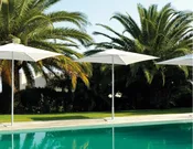Abir 6.6 Sq. Market Umbrella
