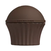Café Nocturne