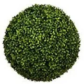 20" Boxwood Ball #1PC10073GR00