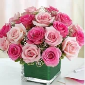Pink Mod