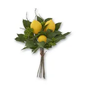 13 Inch Lemon Foliage Bundle