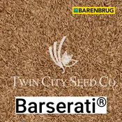 BARSERATI Kentucky Bluegrass