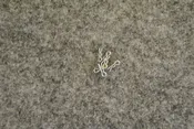 Hair Pin