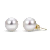 14k Gold A Quality Freshwater Pearl Stud Earrings