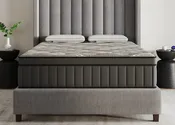 Churchill | Medium-Plush
