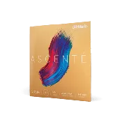 Ascenté Violin String Set