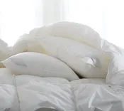 Bergen Down-Free Pillows