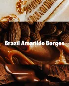 Brazil Amarildo Borges