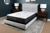 Coral Cushion Firm Hybrid
