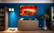 Metal Prints