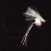 Carpet Shrimp