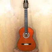 Marchione Flamenco