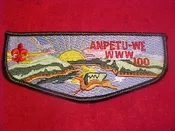 100 S10A ANPETU-WE, TURTLE HAS FLAT BACK