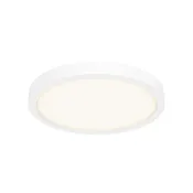 10"  Round LED Flushmount