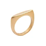 Ancient Feather Ring